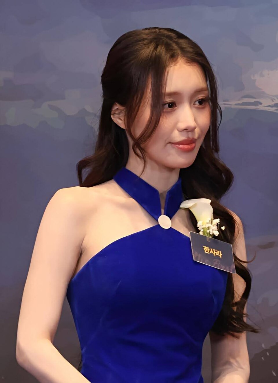 Han Sara