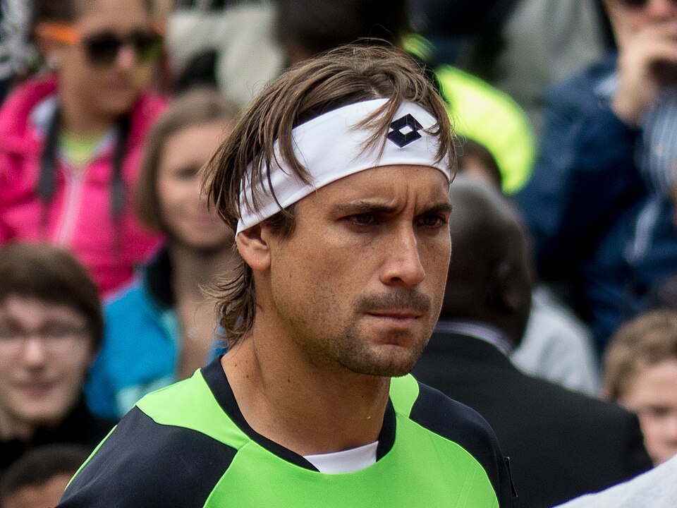 David Ferrer